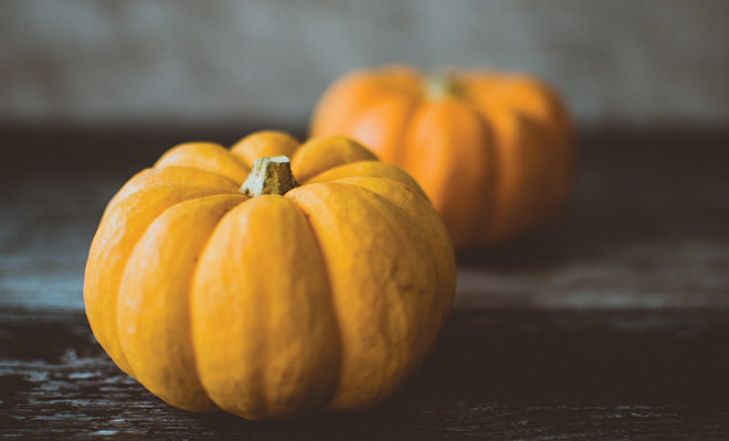 SQUASH IN THE PUMPKIN PATCH - The Westsider