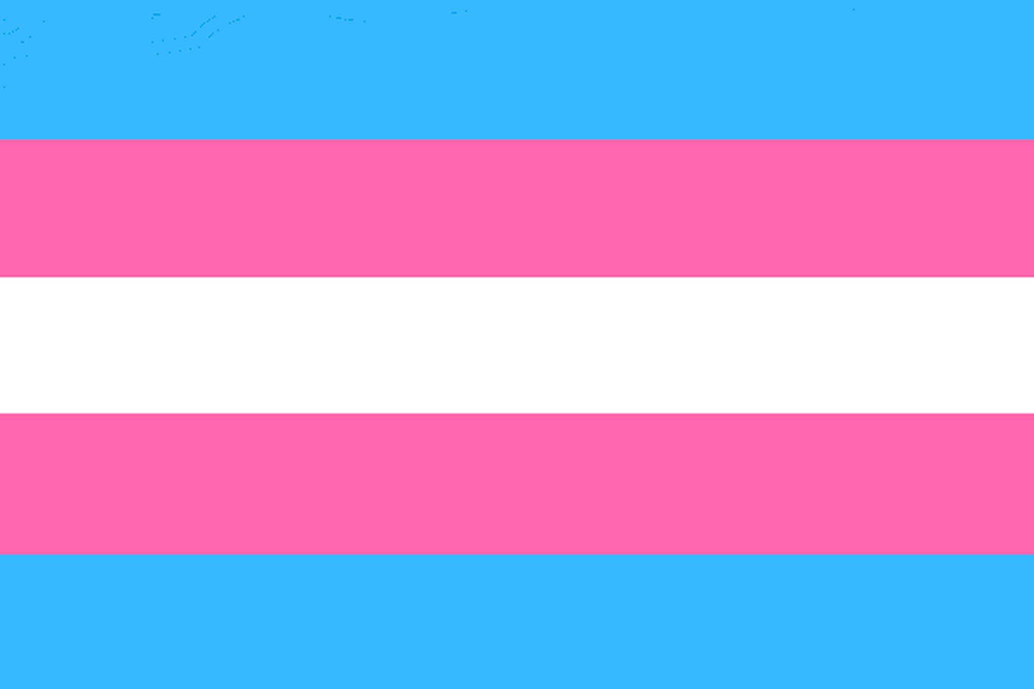 Transgender Pride Flag The Westsider