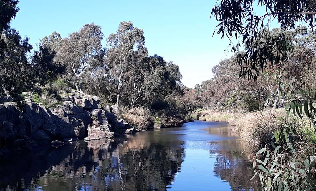 Western Victorian Rivers People power restoring the ecosystems of Melbourne’s precious western ...