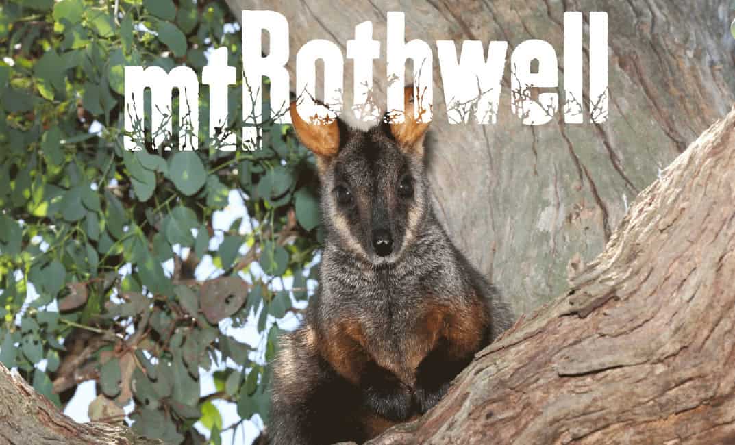 Mount Rothwell DEEP WEST: Mt Rothwell Biodiversity Centre, Little River - The Westsider
