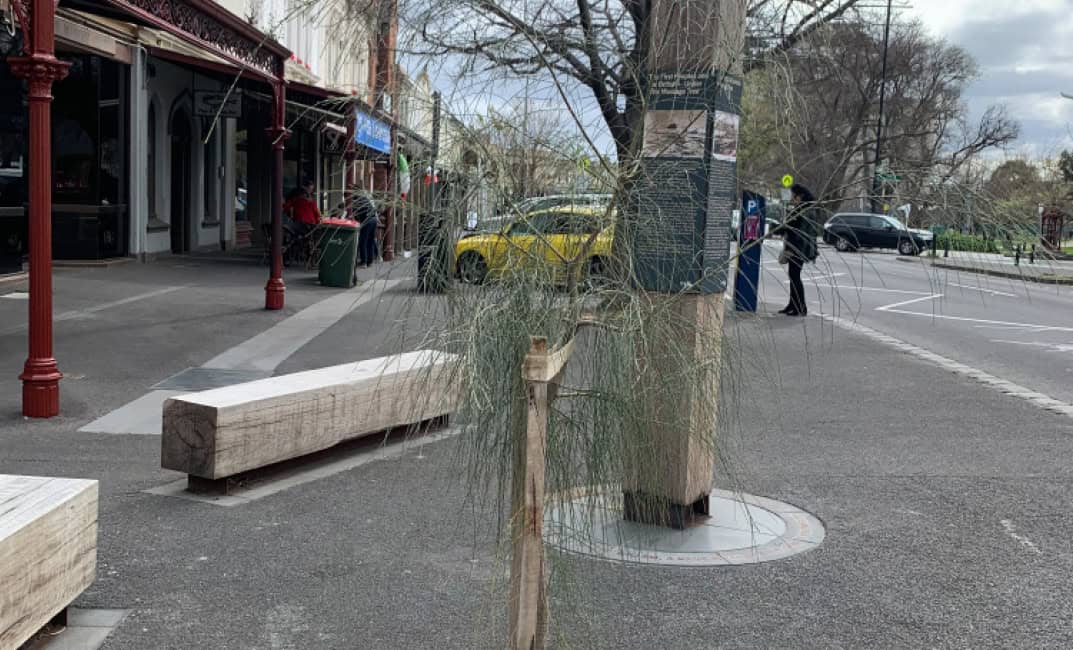 Message Tree Real Tree New Message Tree Alliance still seeking recognition of significant ...